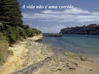 A vida não é uma corrida... 