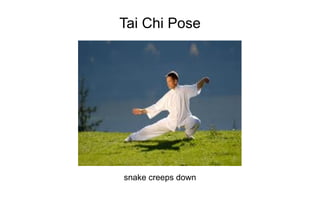 Tai Chi Pose




snake creeps down
 