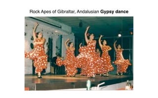 Rock Apes of Gibraltar, Andalusian Gypsy dance
 