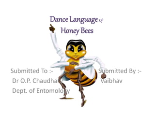 Dance Language Of
Honey Bees
Submitted To :- Submitted By :-
Dr O.P. Chaudhary Vaibhav
Dept. of Entomology
 