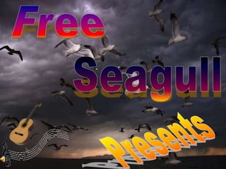 Free Seagull Presents 