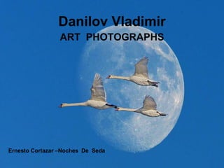 ART  PHOTOGRAPHS Danilov Vladimir Ernesto Cortazar –Noches  De  Seda 