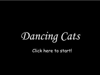 Dancing Cats 