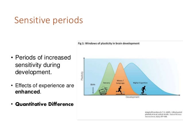 sensitive period and absorbent mind Sensitive periods this research paper the period of absorbent mind goes from 0-6 years of child age and the sensitive period for order operates most activity. sensitive period and absorbent mind Sensitive periods this research paper the period of absorbent mind goes from 0-6 years of child age and the sensitive period for order operates most activity.