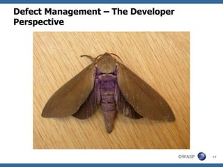 Defect Management – The Developer
Perspective




                                    OWASP   14
 