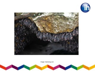 Image: triptoeing.com