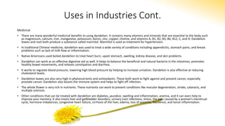Uses in Industries Cont.
Medicinal
• There are many wonderful medicinal benefits to using dandelion. It contains many vitamins and minerals that are essential to the body such
as magnesium, calcium, iron, manganese, potassium, boron, zinc, copper, choline, and vitamins A, B1, B2, B3, B6, B12, C, and D. Dandelion
leaves and root both produce a substance called mannitol. Mannitol is used as treatment for hypertension.
• In traditional Chinese medicine, dandelion was used to treat a wide variety of conditions including appendicitis, stomach pains, and breast
problems such as lack of milk flow or inflammation.
• Native Americans used boiled dandelion to treat heart burn, upset stomach, swelling, kidney disease, and skin problems.
• Dandelion can work as an effective digestive aid as well. It helps to balance the beneficial and natural bacteria in the intestines, promotes
healthy bowel movements, and relieves constipation and diarrhea.
• It works to regulate blood pressure, lowering high blood pressure by helping to increase urination. Dandelion is also effective at reducing
cholesterol levels.
• Dandelion leaves are also very high in phytonutrients and antioxidants. These both work to fight against and prevent cancer, especially
prostate cancer. Dandelion also boosts the immune system and helps to fight off infection.
• The whole flower is very rich in nutrients. These nutrients can work to prevent conditions like macular degeneration, stroke, cataracts, and
multiple sclerosis.
• Other conditions that can be treated with dandelion are diabetes, jaundice, swelling and inflammation, anemia, and it can even help to
improve your memory. It also treats liver and gallbladder disorders, urinary tract infections, stress, the pain caused by a woman’s menstrual
cycle, hormone imbalances, congestive heart failure, cirrhosis of the liver, edema, loss of appetite, flatulence, and tonsil inflammation.
 