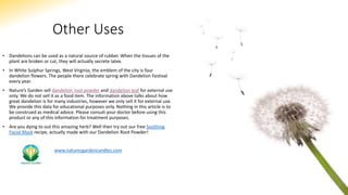 Other Uses
• Dandelions can be used as a natural source of rubber. When the tissues of the
plant are broken or cut, they will actually secrete latex.
• In White Sulphur Springs, West Virginia, the emblem of the city is four
dandelion flowers. The people there celebrate spring with Dandelion Festival
every year.
• Nature’s Garden sell dandelion root powder and dandelion leaf for external use
only. We do not sell it as a food item. The information above talks about how
great dandelion is for many industries, however we only sell it for external use.
We provide this data for educational purposes only. Nothing in this article is to
be construed as medical advice. Please consult your doctor before using this
product or any of this information for treatment purposes.
• Are you dying to out this amazing herb? Well then try out our free Soothing
Facial Mask recipe, actually made with our Dandelion Root Powder!
www.naturesgardencandles.com
 