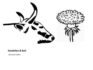 Dandelion & Bull ,[object Object]