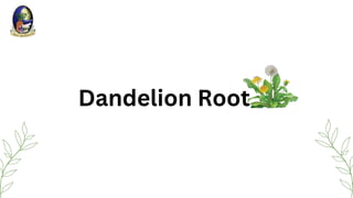 Dandelion Root
 