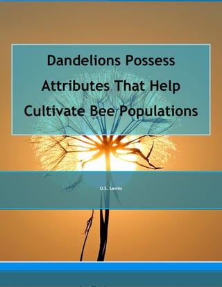 Dandelions Possess
Attributes That Help
Cultivate Bee Populations
U.S. Lawns
 