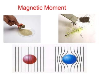 Magnetic Moment
 
