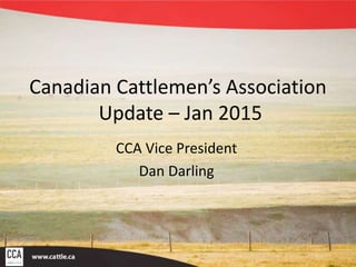 Canadian Cattlemen’s Association
Update – Jan 2015
CCA Vice President
Dan Darling
 