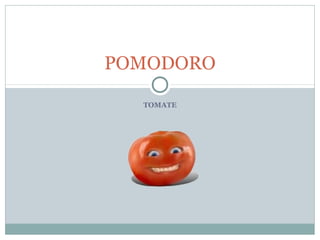 POMODORO

  TOMATE
 