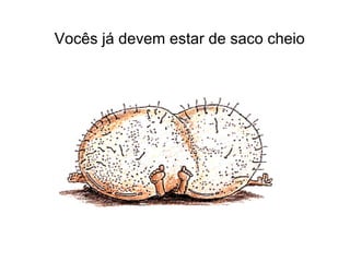 Vocês já devem estar de saco cheio
 