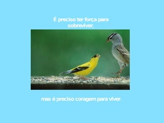 É preciso ter força para sobreviver, mas é preciso coragem para viver. 