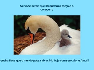 Se você sente que lhe faltam a força e a coragem, queira Deus que o mundo possa abraçá-lo hoje com seu calor e Amor!! 
