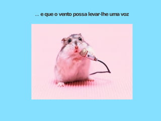   ... e que o vento possa levar-lhe uma voz 