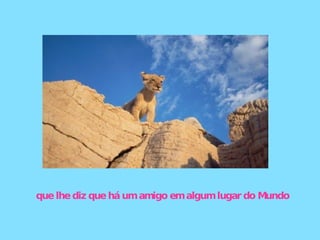 que lhe diz que há um amigo em algum lugar do Mundo 