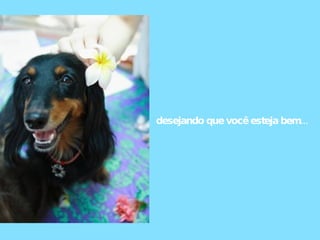 desejando que você esteja bem... 