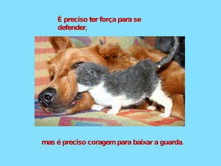 É preciso ter força para se defender, mas é preciso coragem para baixar a guarda. 