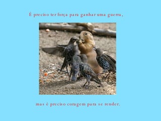 É preciso ter força para ganhar uma guerra, mas é preciso coragem para se render. 