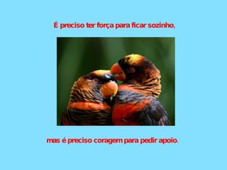 É preciso ter força para ficar sozinho, mas é preciso coragem para pedir apoio.  