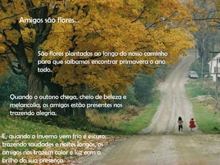 Amigos são flores...  São flores plantadas ao longo do nosso caminho para que saibamos encontrar primavera o ano todo.  Quando o outono chega, cheio de beleza e melancolia, os amigos estão presentes nos trazendo alegria.  E, quando o inverno vem frio e escuro, trazendo saudades e noites longas, os amigos nos trazem calor e luz com o brilho da sua presença.  