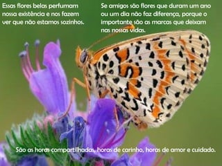 Essas flores belas perfumam nossa existência e nos fazem ver que não estamos sozinhos.  Se amigos são flores que duram um ano ou um dia não faz diferença, porque o importante são as marcas que deixam nas nossas vidas.  São as horas compartilhadas, horas de carinho, horas de amor e cuidado.  