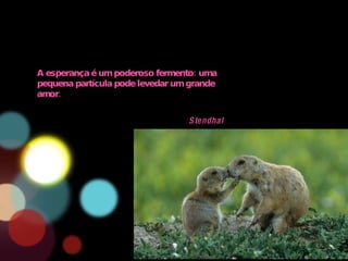 A esperança é um poderoso fermento: uma pequena partícula pode levedar um grande amor. Stendhal 