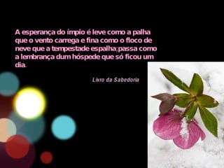 A esperança do ímpio é leve como a palha que o vento carrega e fina como o floco de neve que a tempestade espalha;passa como a lembrança dum hóspede que só ficou um dia. Livro da Sabedoria 