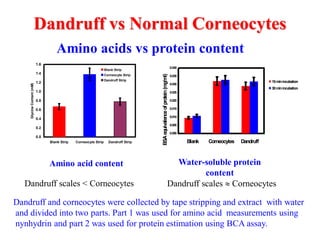 Dandruff vs Normal Corneocytes
0.0
0.2
0.4
0.6
0.8
1.0
1.2
1.4
1.6
Blank Strip Corneocyte Strip Dandruff Strip
GlycineContent(mM)
Blank Strip
Corneocyte Strip
Dandruff Strip
0.000
0.005
0.010
0.015
0.020
0.025
0.030
0.035
0.040
Blank Corneocytes Dandruff
BSAequivalenceofprotein(mg/ml)
15minincubation
30minincubation
Amino acid content
Amino acids vs protein content
Water-soluble protein
content
Dandruff scales < Corneocytes Dandruff scales  Corneocytes
Dandruff and corneocytes were collected by tape stripping and extract with water
and divided into two parts. Part 1 was used for amino acid measurements using
nynhydrin and part 2 was used for protein estimation using BCA assay.
 