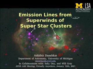 Ashkbiz Danehkar
Department of Astronomy, University of Michigan
danehkar@umich.edu
In Collaborations with: Sally Oey, and Will Gray
237th AAS Meeting, Virtually Anywhere, January 12th, 2021
Emission Lines from
Superwinds of
Super Star Clusters
 