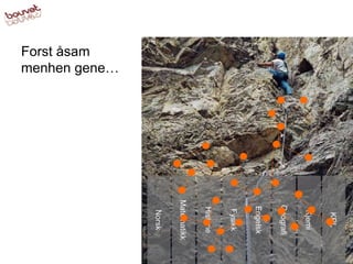 Forst åsam menhen gene… Norsk Matematikk Kjemi Engelsk Fysikk Historie Geografi KRL 