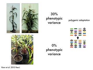 Vann et al. 2015 PeerJ
polygenic adaptation
30%
phenotypic
variance
0%
phenotypic
variance
 