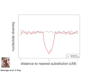 Beissinger et al. In Prep
nucleotidediversity
distance to nearest substitution (cM)
 