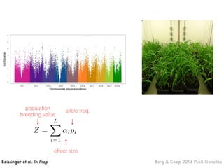 Beissinger et al. In Prep Berg & Coop 2014 PLoS Genetics
Z =
LX
i=1
↵ipi
allele freq.population
breeding value
effect size
 