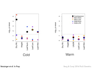 Cold
Beissinger et al. In Prep Berg & Coop 2014 PLoS Genetics
Warm
 