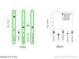 Cold
Beissinger et al. In Prep Berg & Coop 2014 PLoS Genetics
Warm
 