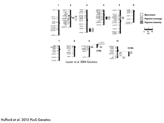 Lauter et al. 2004 Genetics
Hufford et al. 2013 PLoS Genetics
 