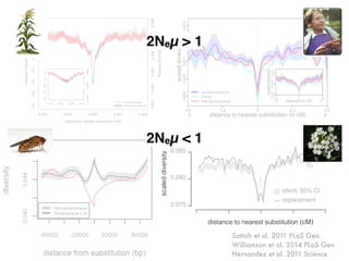 Sattah et al. 2011 PLoS Gen.
Williamson et al. 2014 PLoS Gen
Hernandez et al. 2011 Science
distance to nearest substitution (cM)
scaleddiversity
2Neµ > 1
2Neµ < 1
 