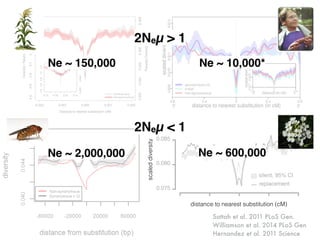 Sattah et al. 2011 PLoS Gen.
Williamson et al. 2014 PLoS Gen
Hernandez et al. 2011 Science
distance to nearest substitution (cM)
scaleddiversity
Ne ~ 150,000 Ne ~ 10,000*
Ne ~ 2,000,000 Ne ~ 600,000
2Neµ > 1
2Neµ < 1
 
