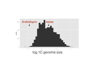 Brandon Gaut
maizeArabidopsis
Kew C-Value Database
log 1C genome size
 