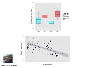 Bilinski et al. In Prep
2.50
2.75
3.00
3.25
3.50
3.75
MH ML SAH SAL mexicana parviglumis1CGenomeSize(Gb)
Altitude
highland
lowland
2.50
2.75
3.00
3.25
3.50
3.75
MH ML SAH SAL mexicana parviglumis
1CGenomeSize(Gb)
Altitude
highland
lowland
 