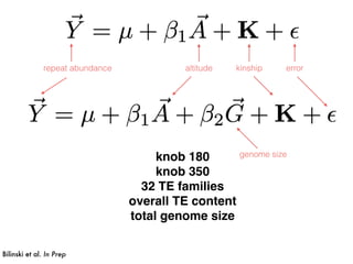 altitude kinship errorrepeat abundance
genome size
Bilinski et al. In Prep
knob 180
knob 350
32 TE families
overall TE content
total genome size
 