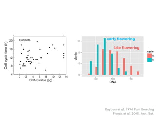 Rayburn et al. 1994 Plant Breeding
Francis et al. 2008. Ann. Bot.
excluded. Indeed, if we ignore the marked dis
of the y-axis caused by their inclusion, then the n
effect is strong for all species regardless of phyl
test the rigour of these hypotheses would requi
plug the gap between Trillium grandiﬂorum
majority of C-value/cell cycle times analysed he
Separate plots for diploids and polyploids show
nucleotypic effect on CCT in diploids (Fig. 3;
Removing the ﬁve diploid outliers (.25 pg) re
slope (b ¼ 0.27) by approximately four-fold
regression continued to be signiﬁcant (P , 0.
the polyploids, a nucleotypic effect on CCT
detected (Fig. 3; Table 2); however, removing the
ploid outliers rendered the regression non-signiﬁ
0.03x 2 13.5). This conﬁrms previous work in
slope/rate of increase in CCT with increasing
higher in diploids than in autopolyploids (Eva
1972). With the exception of Scilla sibirica, CC
FIG. 3. DNA C-value (pg) and cell cycle time (h) in the roo
istem of a range of diploid and polyploid angiosperms. See
regression analyses.
2. DNA C-value (pg) and cell cycle time (h) in the root apical mer-
m of a range of (A) eudicots and monocots (n ¼ 110), and (B) eudicots
(n ¼ 60). See Table 2 for regression analyses.
LE 2. Regression analyses of all data presented in
s. 2–4 together with the percentage variance accounted
by the regression (R2
), the level of probability (P) for
each regression
Francis et al. 2008.Ann. Bot.
0
10
20
30
100 105 110
DNA
plants
cycle
0
6
late ﬂowering
early ﬂowering
 