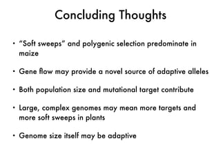 • “Soft sweeps” and polygenic selection predominate in
maize
• Gene ﬂow may provide a novel source of adaptive alleles
• Both population size and mutational target contribute
• Large, complex genomes may mean more targets and
more soft sweeps in plants
• Genome size itself may be adaptive
Concluding Thoughts
 