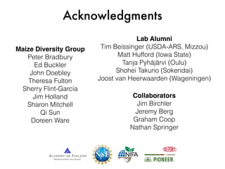 Acknowledgments
Maize Diversity Group
Peter Bradbury
Ed Buckler
John Doebley
Theresa Fulton
Sherry Flint-Garcia
Jim Holland
Sharon Mitchell
Qi Sun
Doreen Ware
Collaborators
Jim Birchler
Jeremy Berg
Graham Coop
Nathan Springer
Lab Alumni
Tim Beissinger (USDA-ARS, Mizzou)
Matt Hufford (Iowa State)
Tanja Pyhäjärvi (Oulu)
Shohei Takuno (Sokendai)
Joost van Heerwaarden (Wageningen)
 
