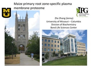 Maize primary root zone-specific plasma membrane proteome Zhe Zhang (Jenny) University of Missouri – Columbia Division of Biochemistry Bond Life Sciences Center 