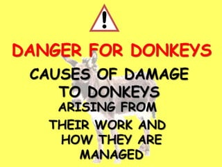CAUSES OF DAMAGE
TO DONKEYS
ARISING FROM
THEIR WORK AND
HOW THEY ARE
MANAGED
!
DANGER FOR DONKEYS
 